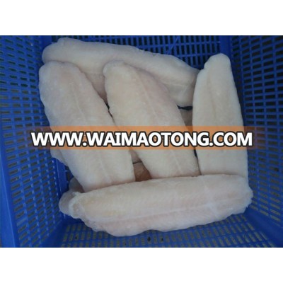 Frozen Pangasius Fillet