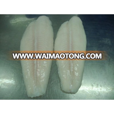 Pangasius Well Trimmed